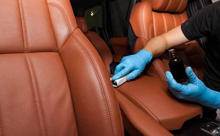 Leather Conditioning